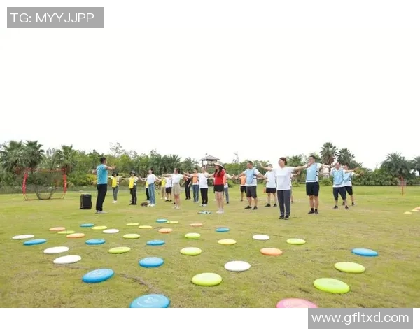 飞盘盛宴：深入解析上海飞盘队的实力与未来发展潜力