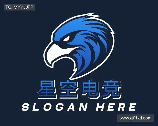 解读星空电竞